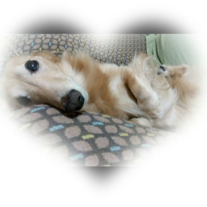 B0fc68ca 22d3 4d6e a3d3 238c591f3378 1590325644564