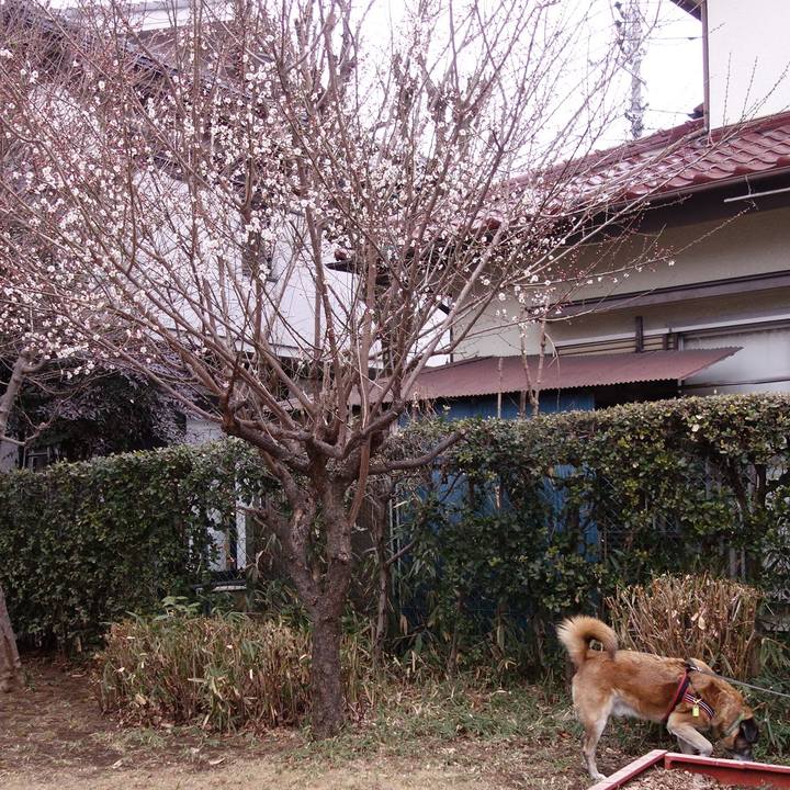 B0fc6dc6 f2ca 4fdc b6e0 cb0c241027ea 1549848878895