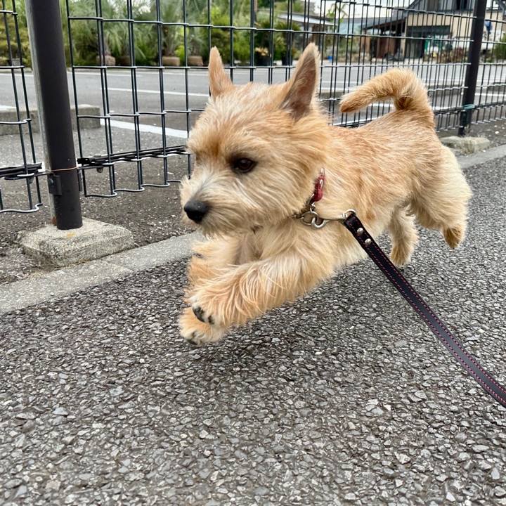 B0fc7b7a 989a 45b6 b0c1 d96e8f591620 1716770968886