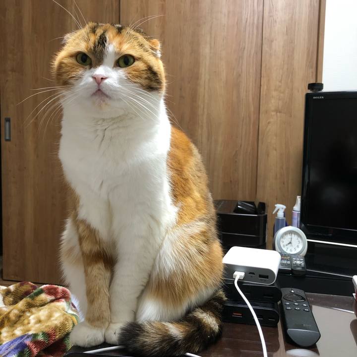 B0fc8197 4d55 4311 a7a3 87f75c38a382 1608375647587