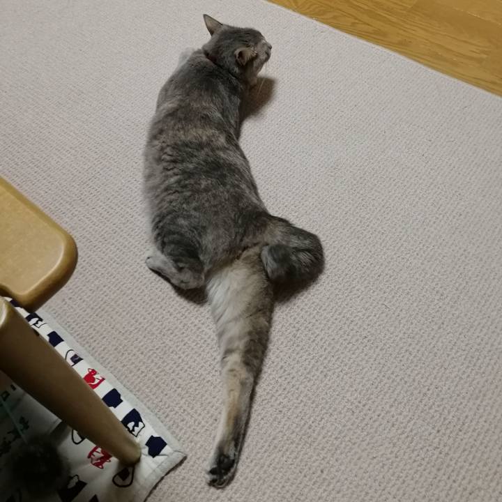 B0fc9385 d5be 49a8 a915 82be1bd29a57 1528289886148