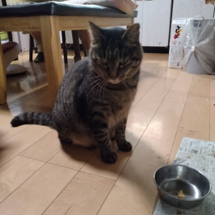 B0fc9fca 6e92 42ae a42c 31c795eb28af 1691190048155