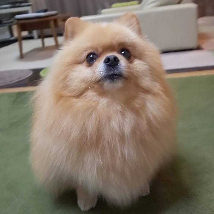 B0fcb3c0 d132 4bec b46b 61df665d6e87 1543660854980