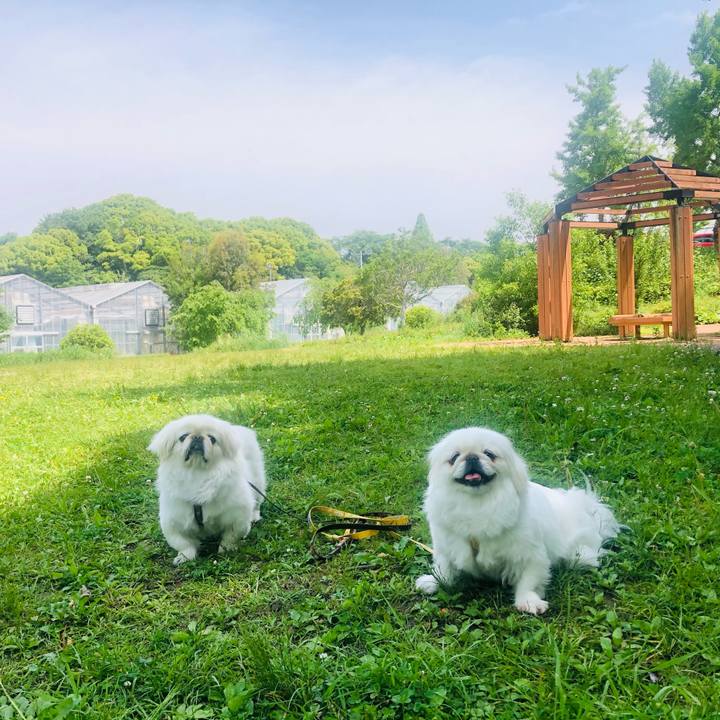 B0fcf4fb 37e3 401e 915d e26358012eaf 1620439146019