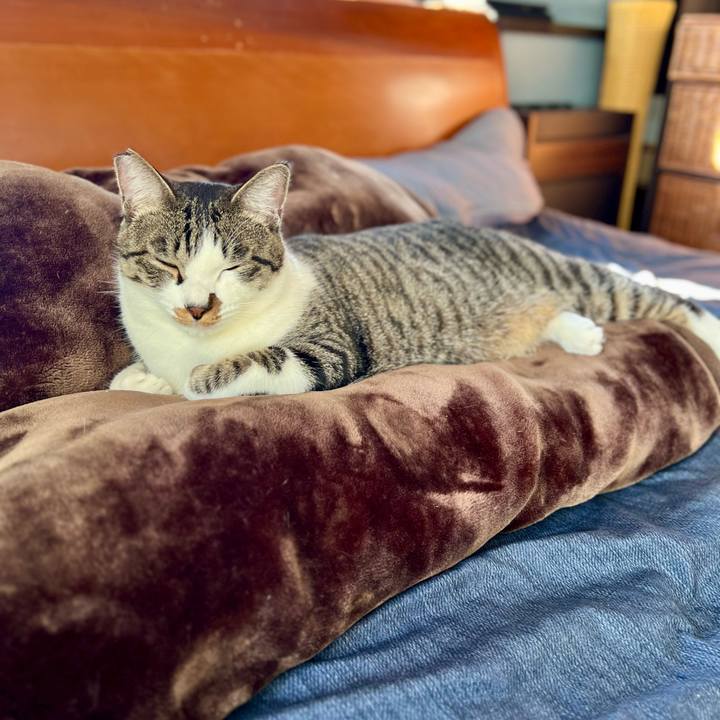 B0fcf838 c58e 4cc1 bf2b 660b43229a3e 1763383199777