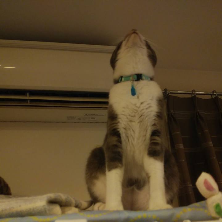 B0fd149a 583d 4545 8a48 d46f5e0d4e92 1591797973824