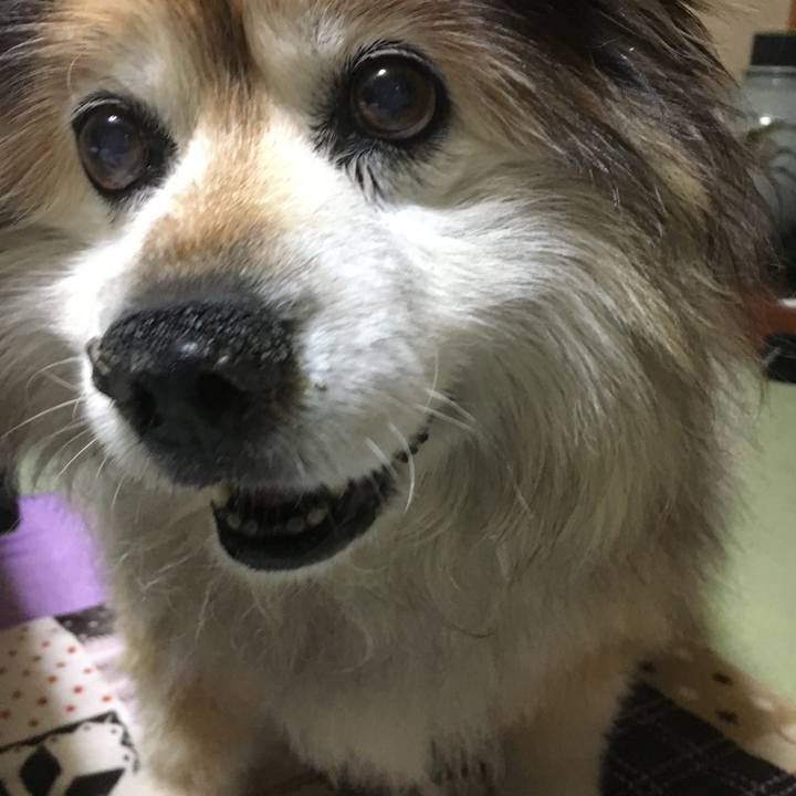 B0fd5acf ba36 4975 a749 0bb35a37ee0f 1599894918082