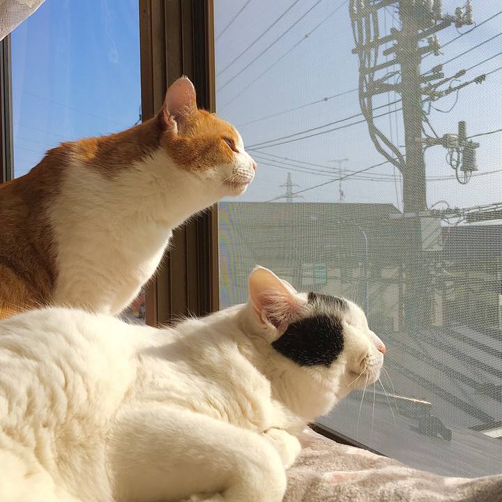 B0fd8db5 5b52 40e2 9190 0c49859debdd 1615442366679