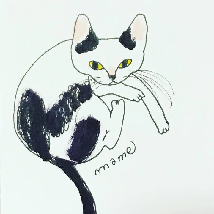 B0fd9207 ec3d 4d82 978a 27aa15586b4c 1615977539499