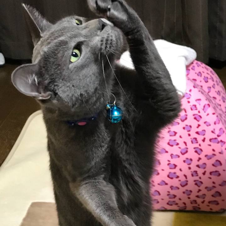 B0fd9d76 6a2f 477f a4ab 61958045ee63 1510578578908