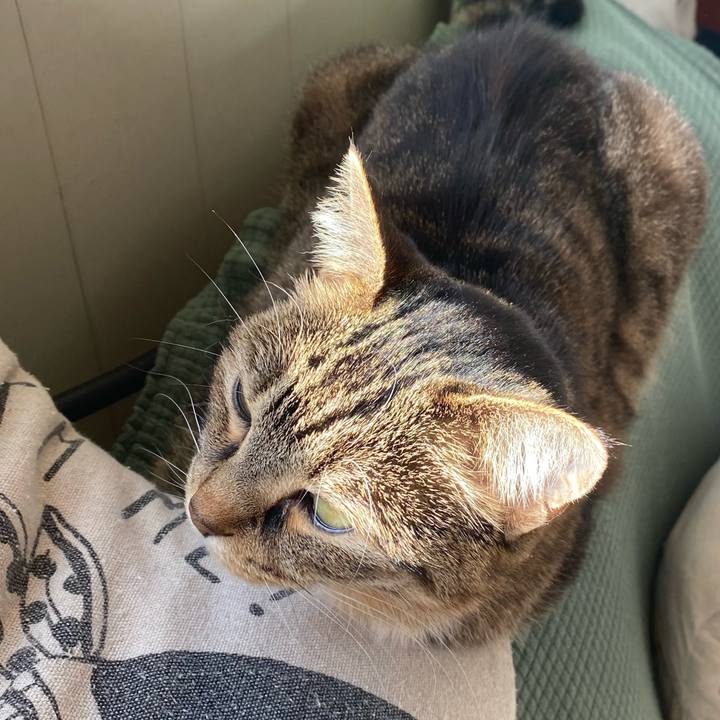 B0fdafd6 df4b 4ea6 9c27 49cbbd58ee21 1611971625822