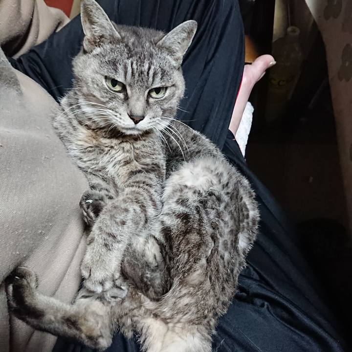 B0fde1e5 46f6 4667 9a3f 66e1a90e675d 1573764191641