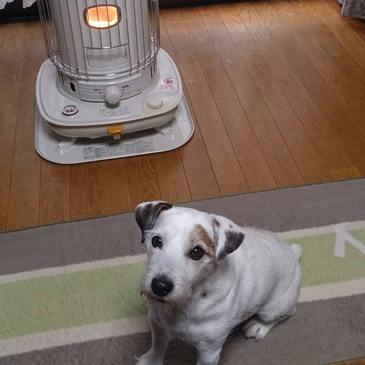 B0fe0e2b 7994 4cbf 9494 82108e47e39e 1508887309558