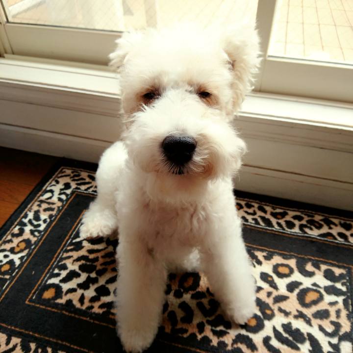 B0fe1bcf 5ec7 4da3 b5d7 2af16b095366 1516414766741