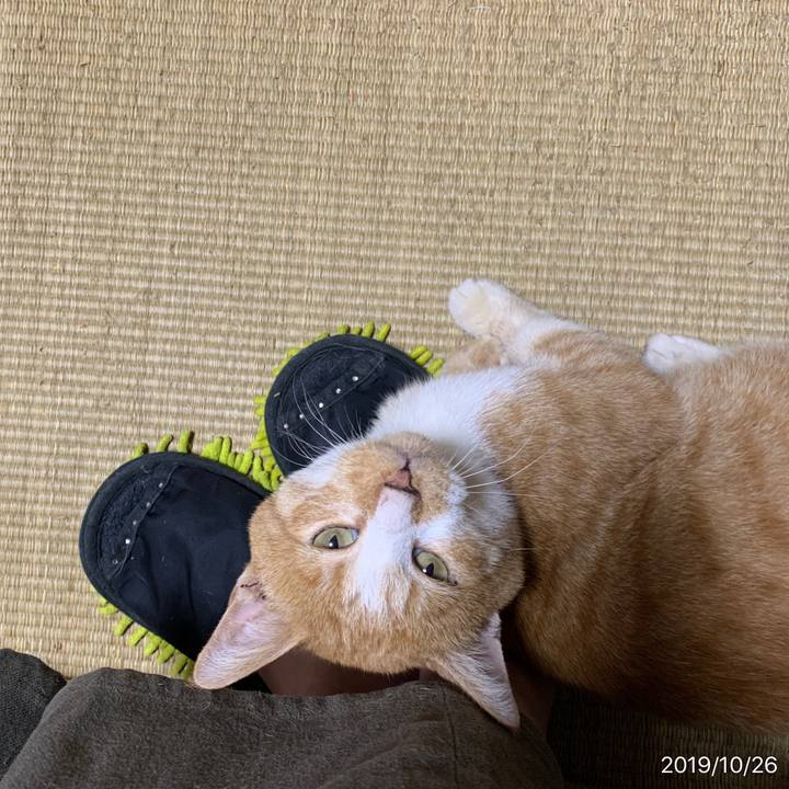 B0fe48b4 e941 472a aaa5 7a5a7f05fc2c 1572085277508