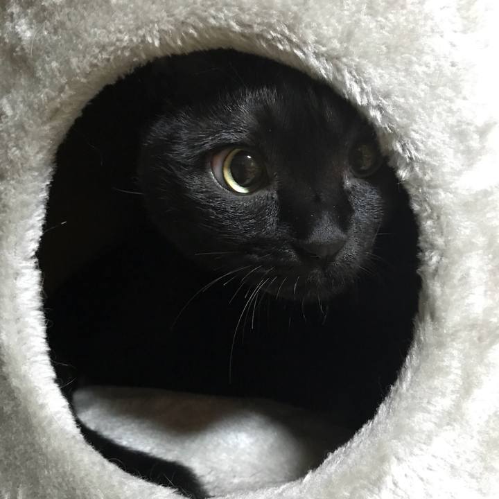 B0fe4ab2 beb5 43bf 8606 ecd7f91b1916 1519309907303