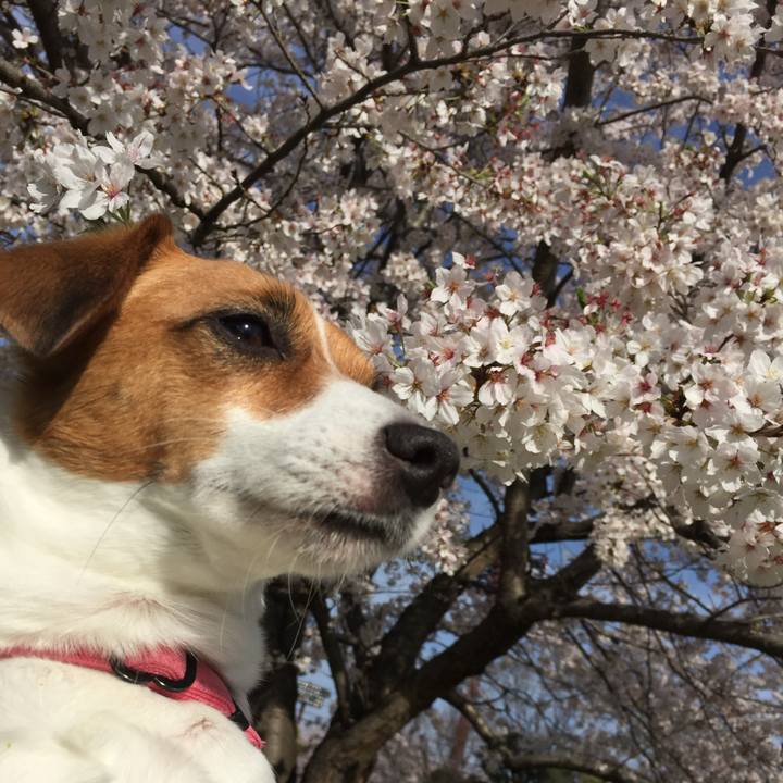 B0fea04d 764b 4dea aecf 1c0ecefe281d 1707657262945