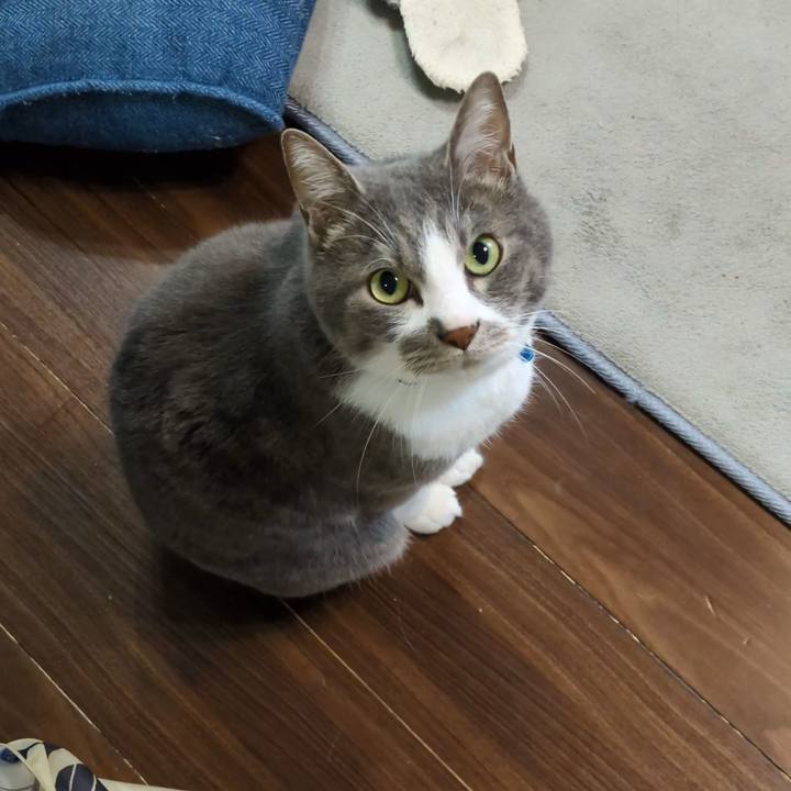 B0ff7823 ff28 4397 bb16 80b1a33b64ad 1748683922129