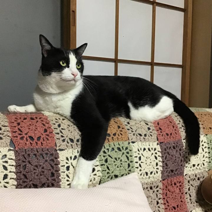 B0ff7e5a 799c 458a ae7a 9412c99a07cd 1725453255025