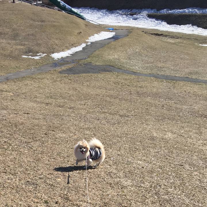 B0ff8428 ea33 42ca 9946 6ab1fed9981e 1522411787058