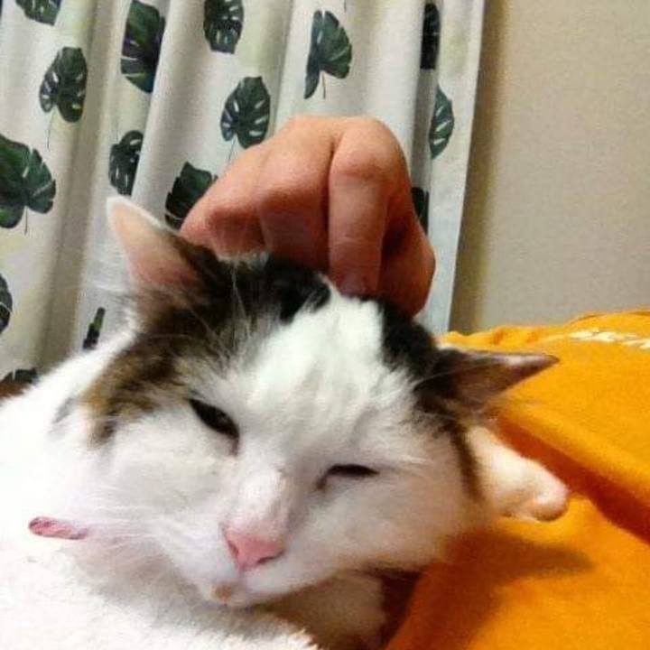 B0ff9fce c293 4a91 84b6 27088b823aa7 1620854438599