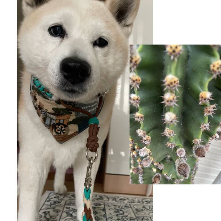 B0ffaf13 4e6e 4149 9499 8ad24ed47e57 1649806889127