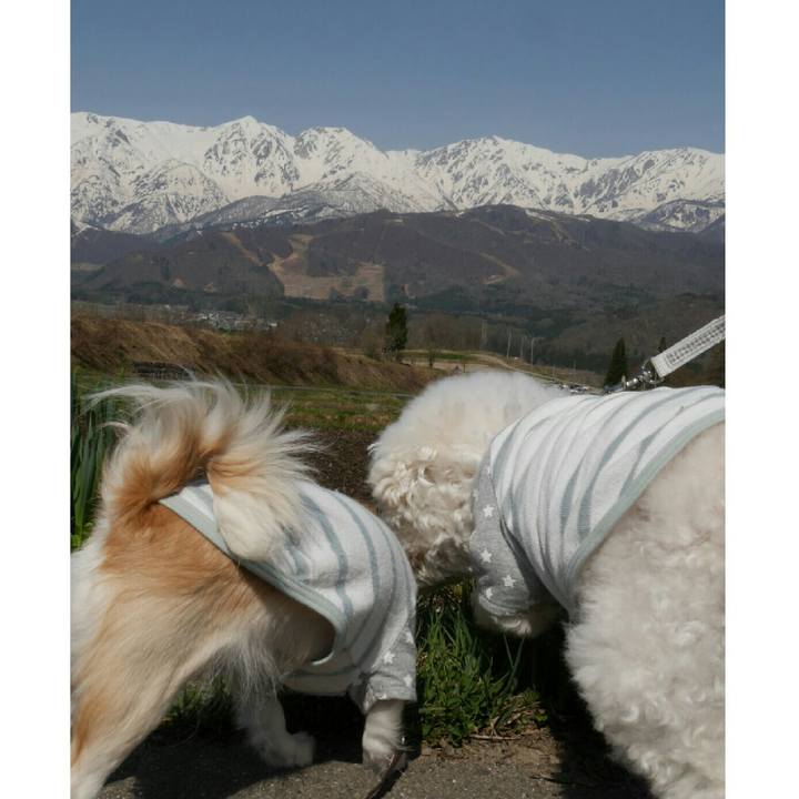 B0ffd2f0 9c7d 485a 865a e73ebf79473a 1524728421722