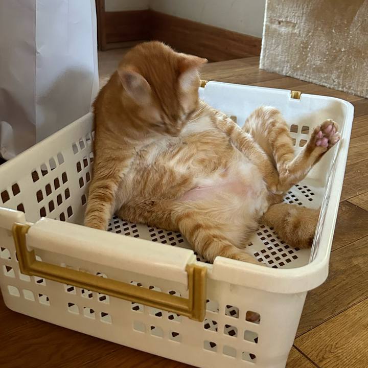 B1001c55 b11e 4349 bb4a 48f02e8d6e9e 1688431117210