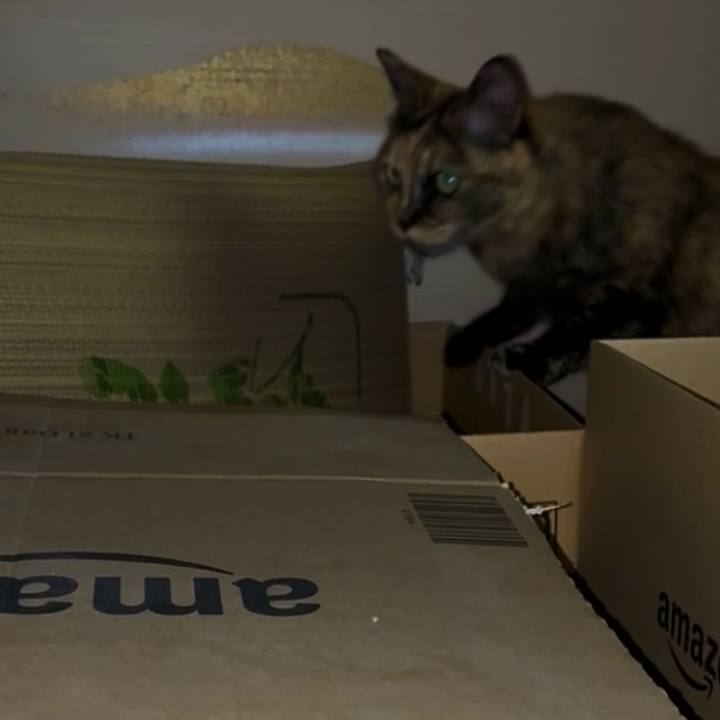 B100801e ba3e 45da 9597 97df188c990c 1750105464973