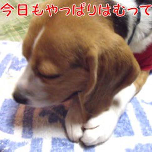 B100b31a 2165 4683 814d cf8993e93683 1721090391076