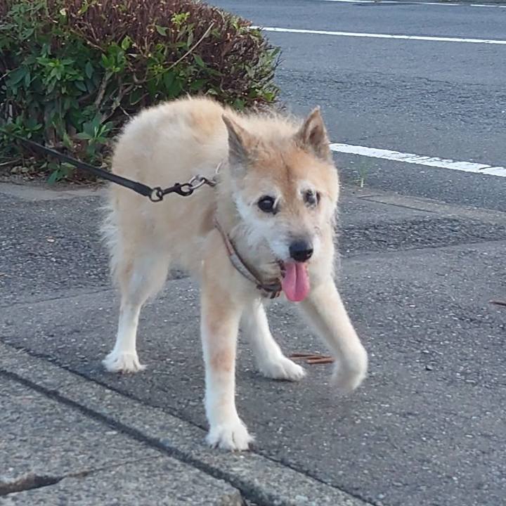 B100ccba 80b6 4b98 acd1 151c321ad4a2 1627990601761