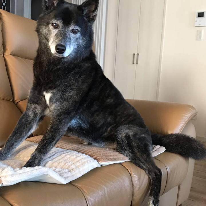 B1013882 60fc 4e08 8089 92aeccdebbb1 1647312291659