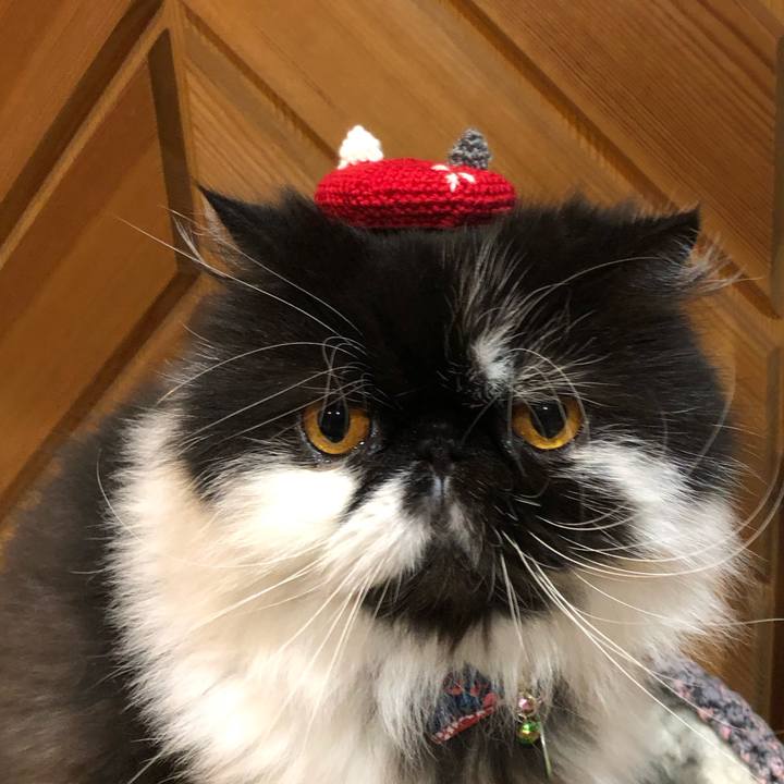 B1014134 e6e1 4cea b4a8 16eee9abc31f 1671877936984