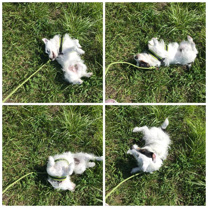 B101467a 28c4 4e04 be36 92ad6bed363e 1528417790591