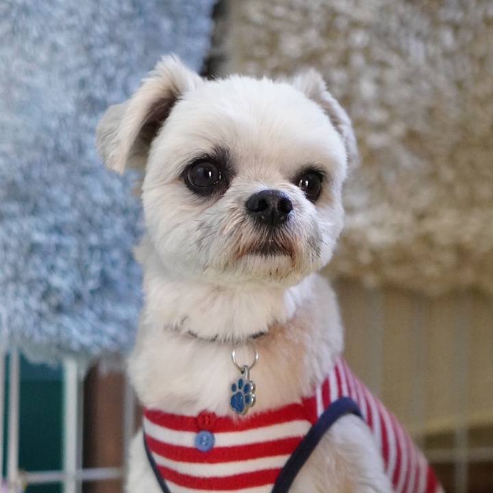 B101a421 9831 4fbc b085 78ed5761a41f 1581589825849