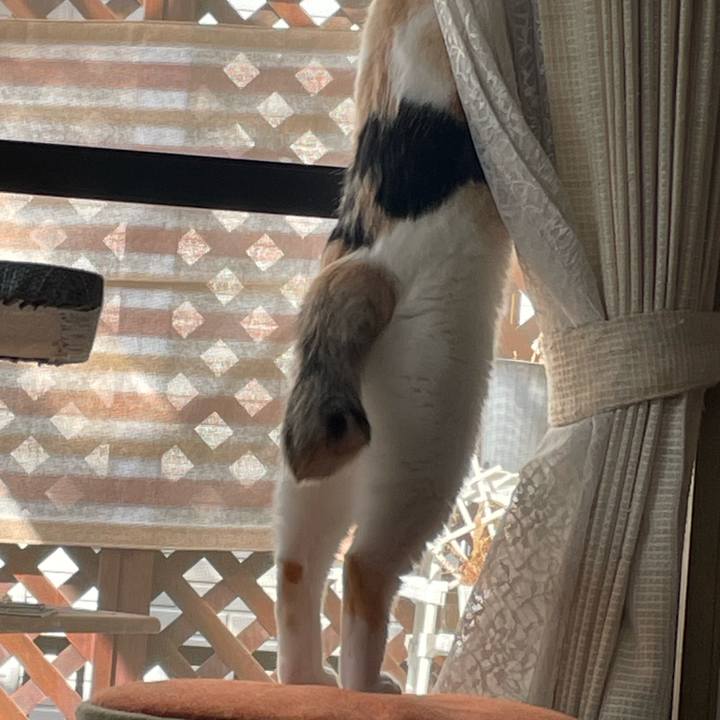 B101aedf 3ba7 40c9 a1c0 c339f0e21fd5 1751065685131