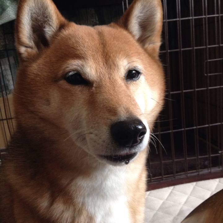 B101ebeb 382f 4736 a568 c1b6a0a84c30 1517283261558