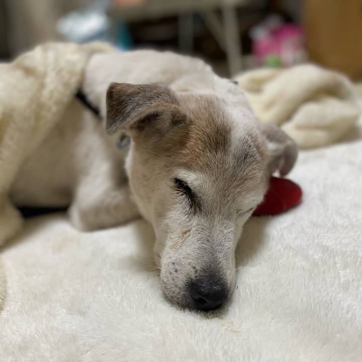 B101ee9b 222f 4b29 9f3e eb81341d0094 1732979274862