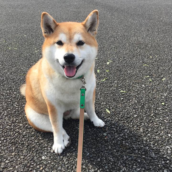 B10218f6 fe6f 4c75 8db2 240f432e68be 1604809668160