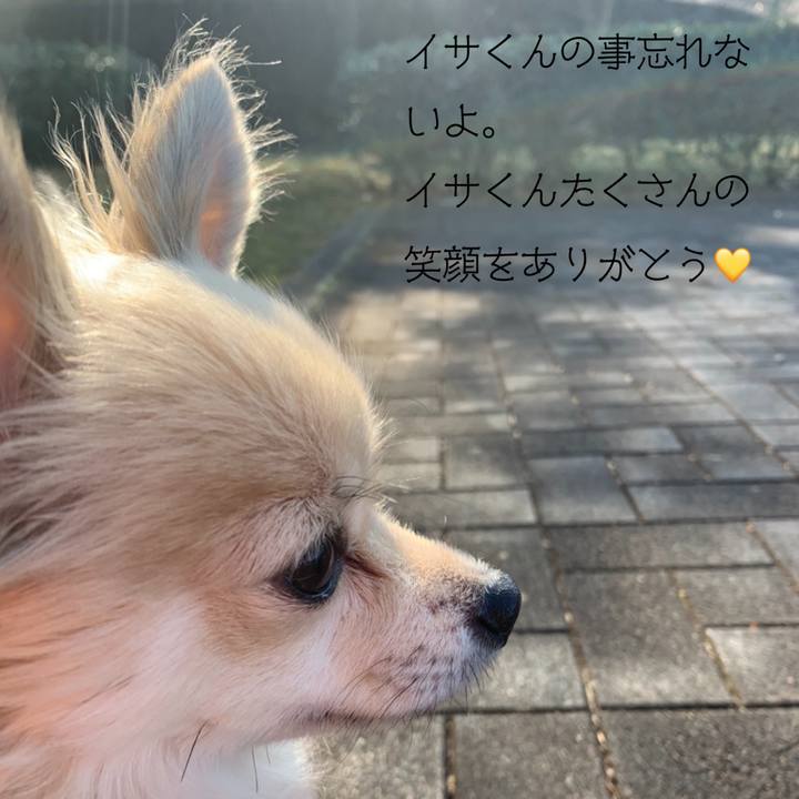 B102218f 0367 4d55 a880 76fd1a004cfd 1615021894400