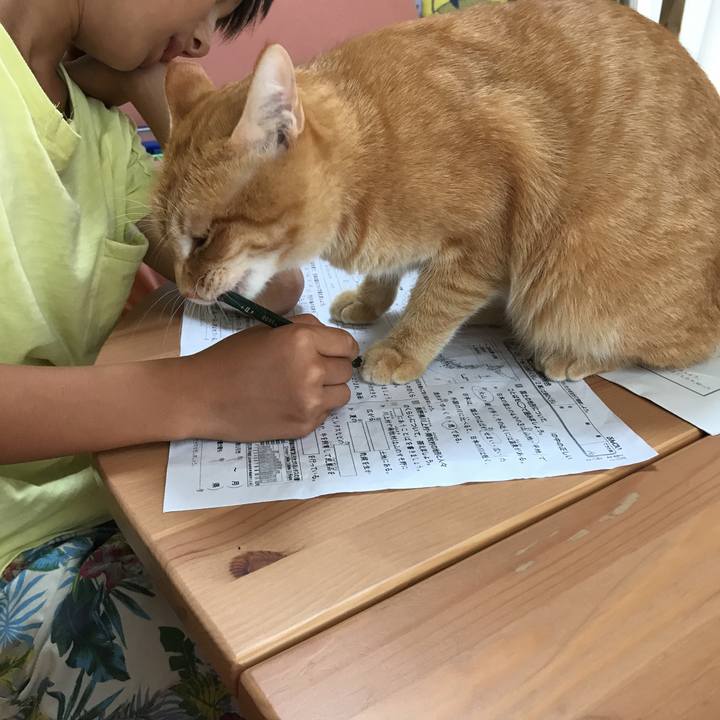 B1023ca5 8a23 45b0 b138 199767aeaf45 1531380040390