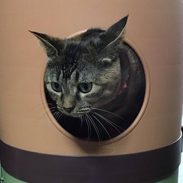 B1026413 f54e 46ea 91bb a872434d97fc 1731498110815