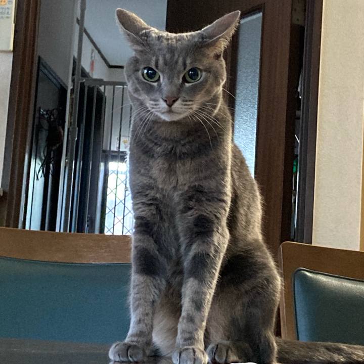 B1028764 d2ed 4d66 a338 3837f7dc8b75 1722027273692