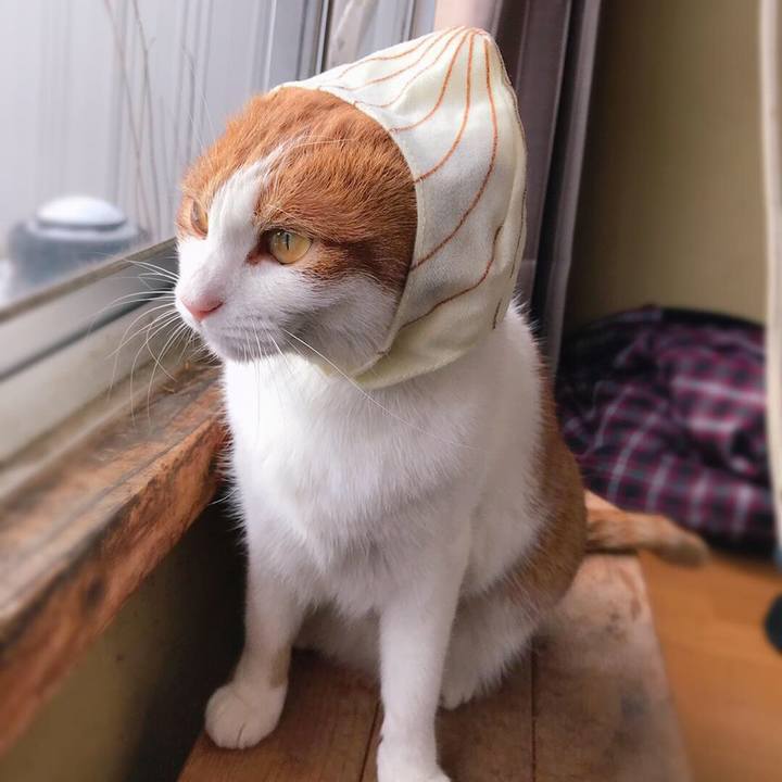 B10288f6 e8d5 4b63 b51d 4d0e9d40161e 1546407064438