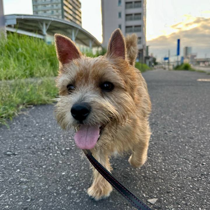 B1028c6e ef83 454d 8336 4961087bea48 1725528185340