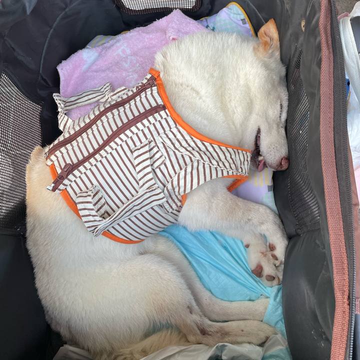 B1028d6e 1b79 44cc a7df 2955dfe7fc55 1658755058857