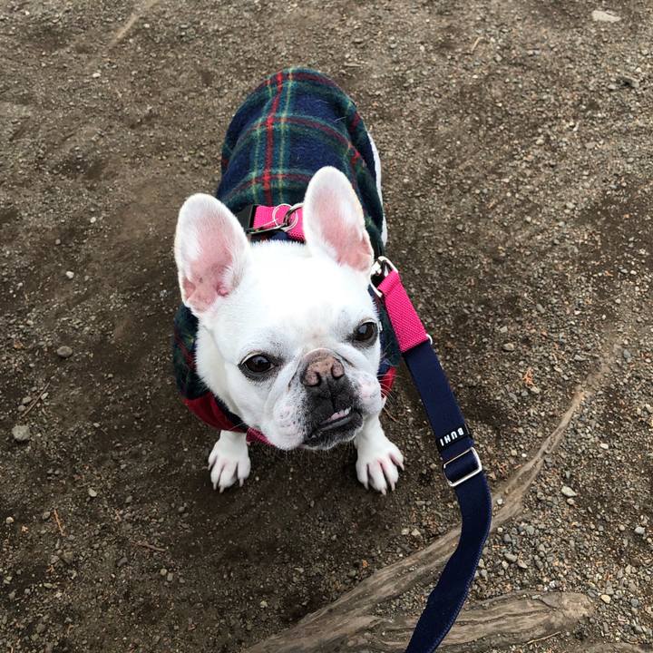 B102a342 e2f9 4673 854f 06b2da4a8102 1583551116429