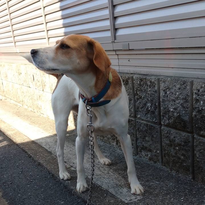 B102ab52 bced 418b 8fe6 9719aec3b738 1606466501879