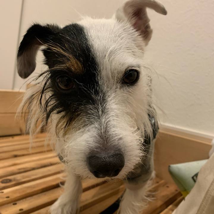 B102c8cf a931 47db 8346 17167525f02a 1604305972144