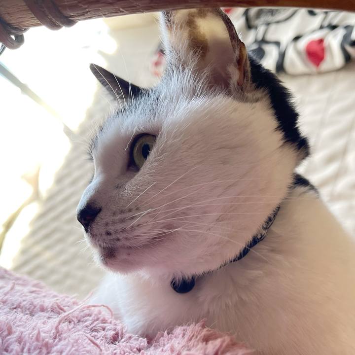 B102da33 d043 4bba ac33 9c39ff113353 1769831141551